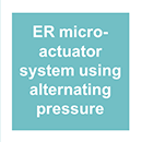 AC ER microsystem